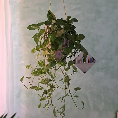 Teatro Ariston Privata Séjour chez l'habitant San Remo