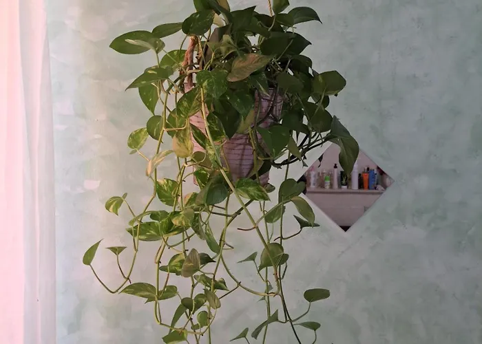 Teatro Ariston Privata Séjour chez l'habitant San Remo