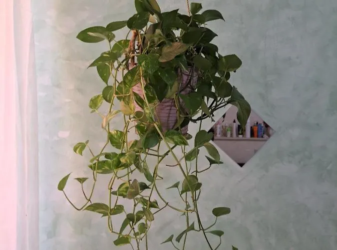 Teatro Ariston Privata